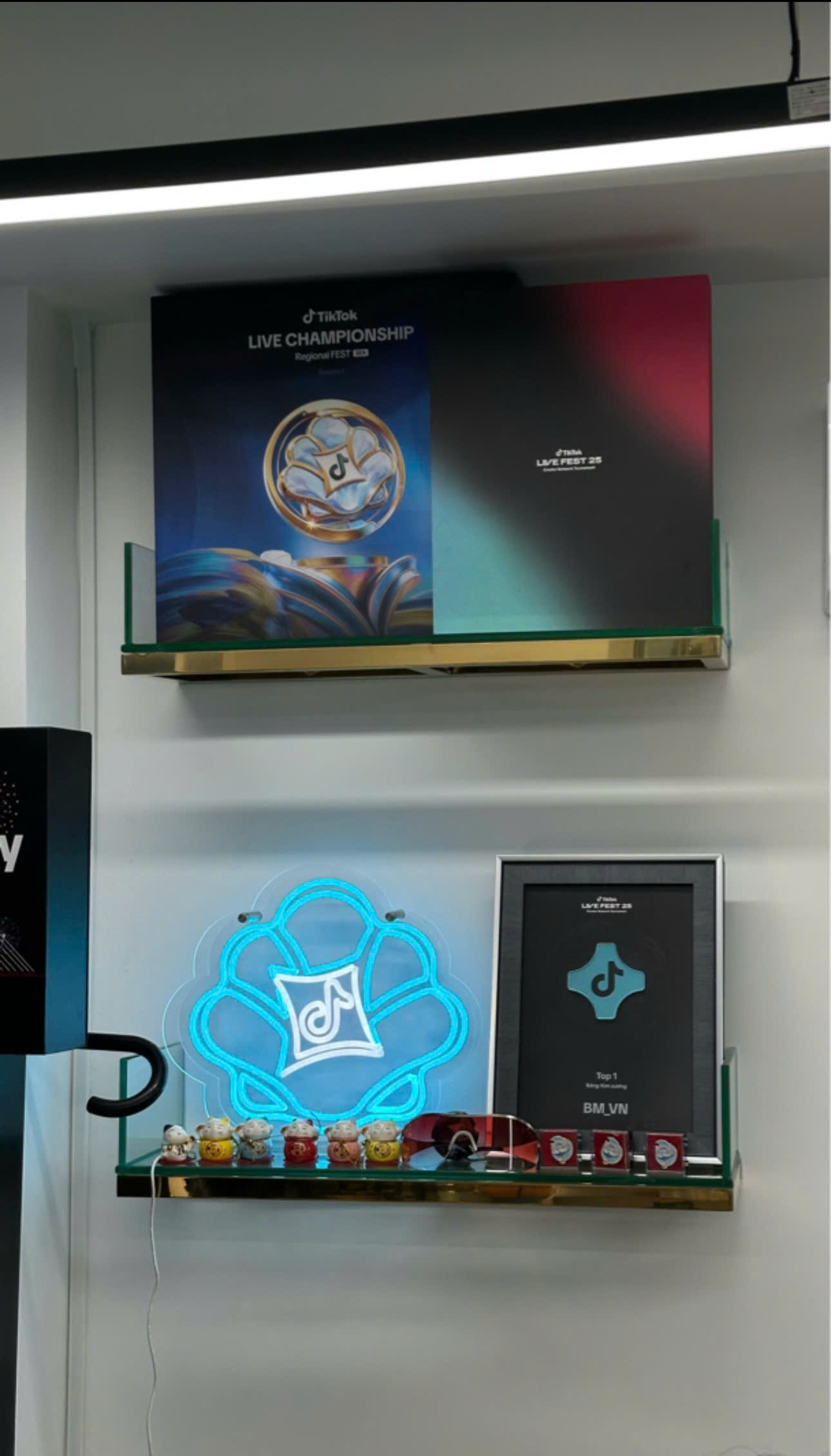 Kỷ niệm chương TikTok LIVE Championship và LIVE Fest